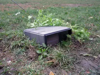 Half-buried television installed in a grassy common as art