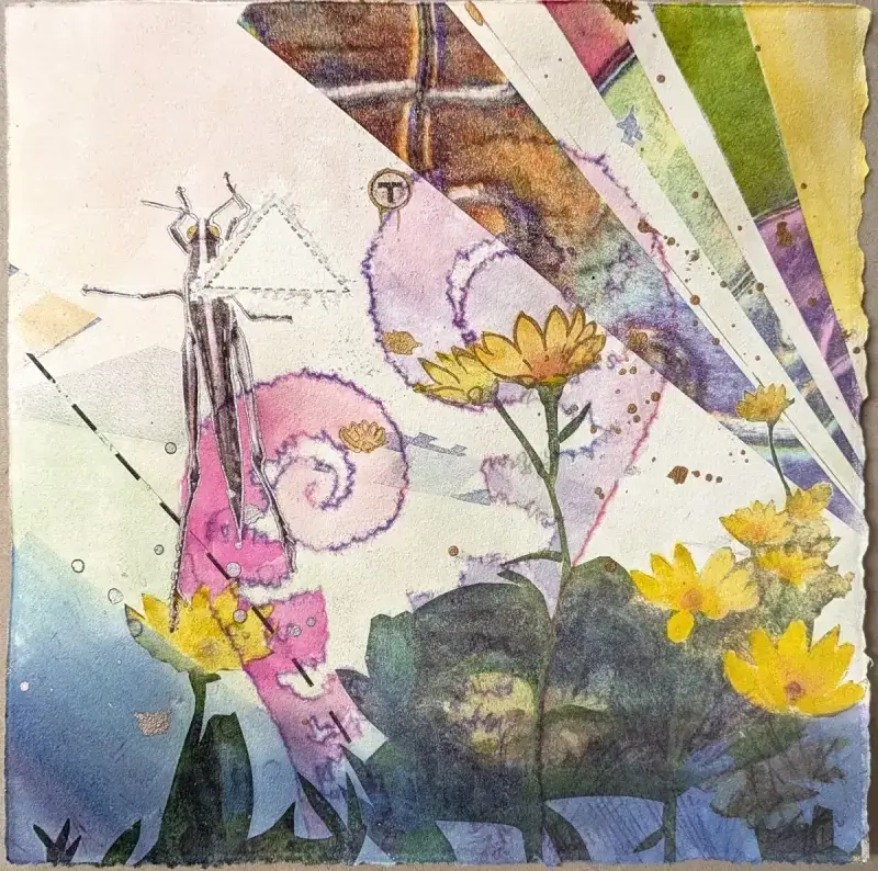 Locust, 2024, color-transfer print, 10 x 10 inches, by Adam Sprague.